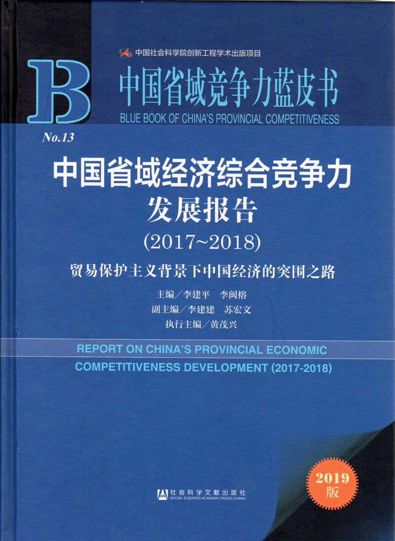 www.大雷、巨乳、鸡鸡中国省域经济综合竞争力发展报告（2017-2018）